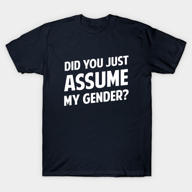 Did You Just Assume My Gender? T-Shirt by dumbshirts